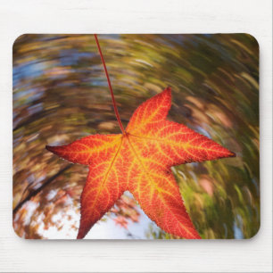 Falling Leaf from a tree in autumn Mouse Mat