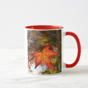 Falling Leaf from a tree in autumn Mug