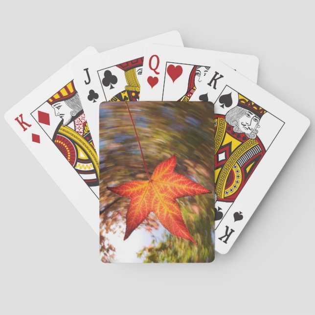 Falling Leaf from a tree in autumn Playing Cards (Back)
