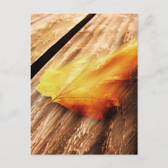 Falling Leave Postcard (Front)