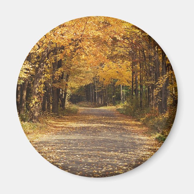 Falling Leaves Magnet (Front)