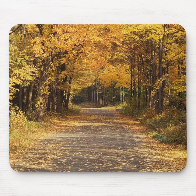 Falling Leaves Mouse Mat (Front)