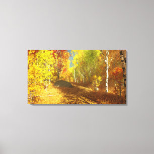 Falling Light Canvas Print