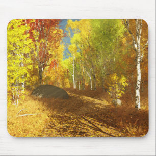 Falling Light Mousepad