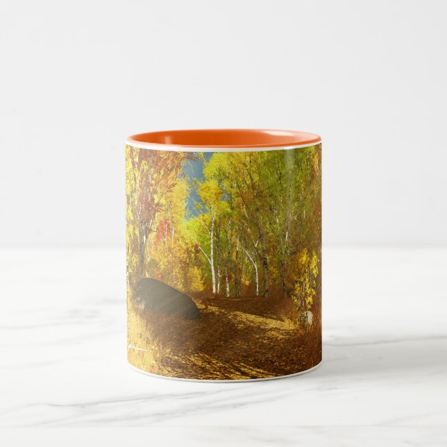 Falling Light Mug (Center)