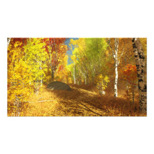 Falling Light Photo Print