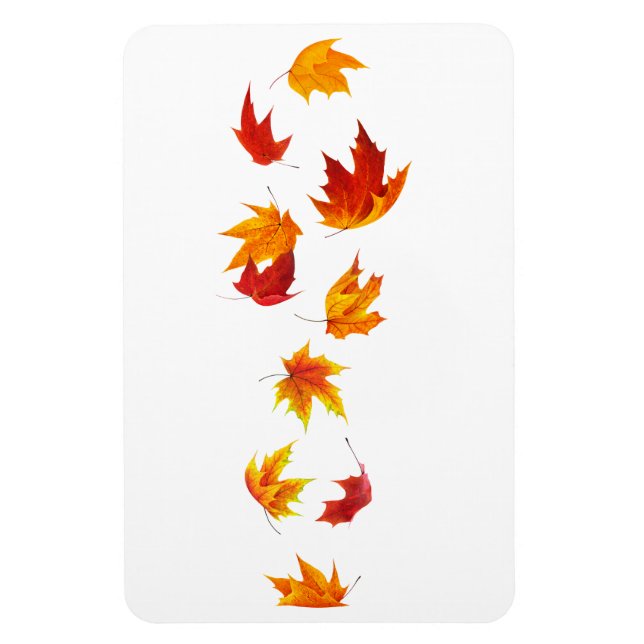 Falling maple leaves magnet (Vertical)