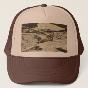 Falling Prairie Dog Trucker Hat