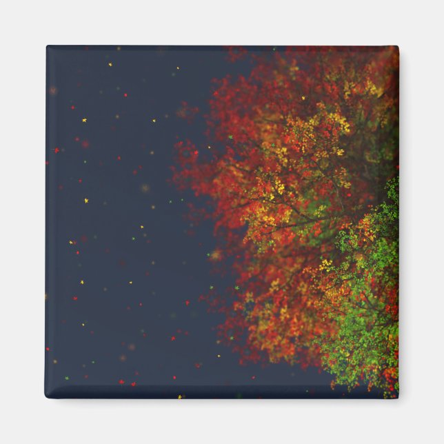 Falling Rainbow Magnet (Front)