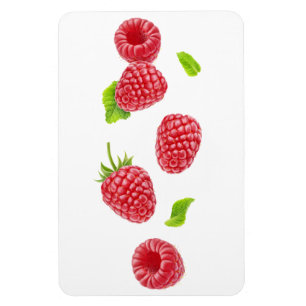 Falling raspberries magnet