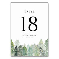 Falling Snow on Evergreen Forest Winter Wedding
