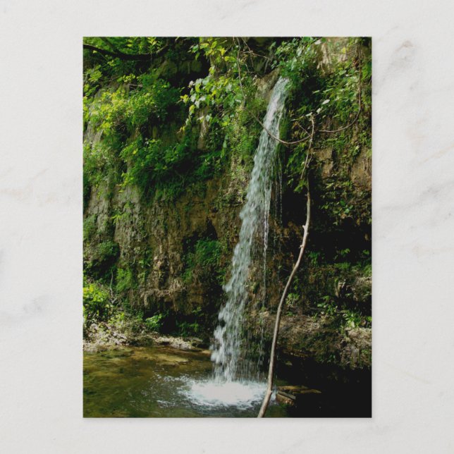 Falling Spring Waterfall Postcard (Front)
