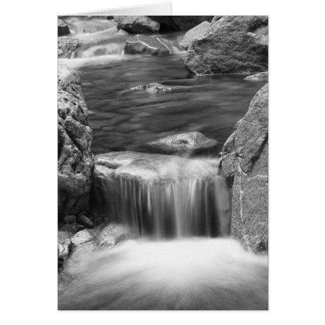 Falling Water (Front)