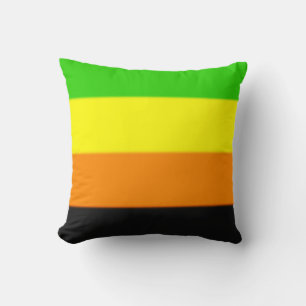 Fallln Aromantic Pride Flag Cushion