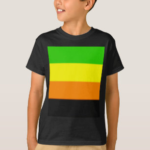 Fallln Aromantic Pride Flag T-Shirt