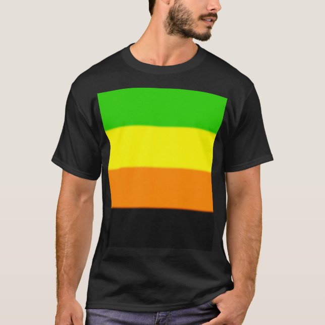 Fallln Aromantic Pride Flag T-Shirt (Front)