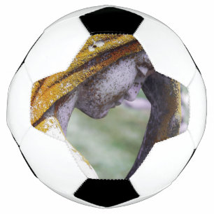 Falln A Quiet Interlude Football