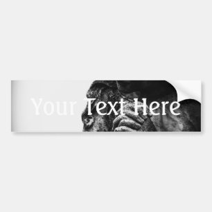 Falln Angel in Prayer Bumper Sticker