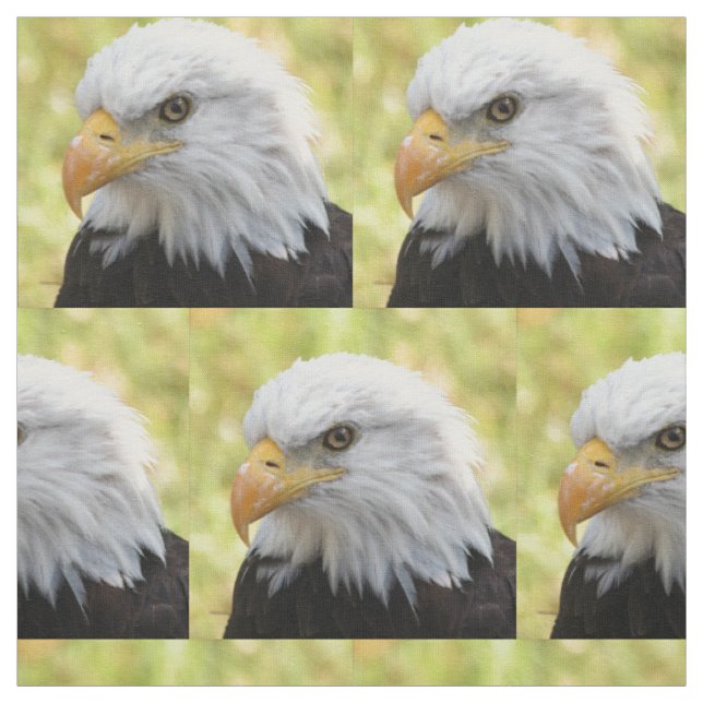 Falln Bald Eagle Liberty Fabric (Swatch)