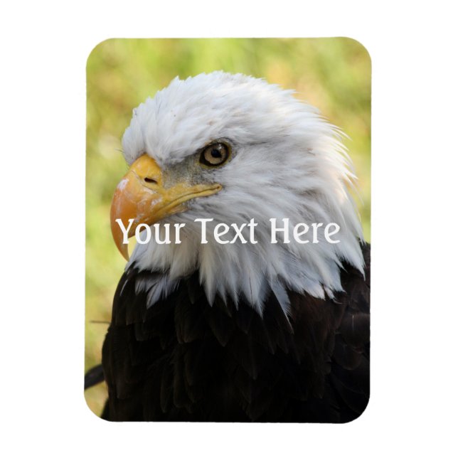 Falln Bald Eagle Liberty Magnet (Vertical)