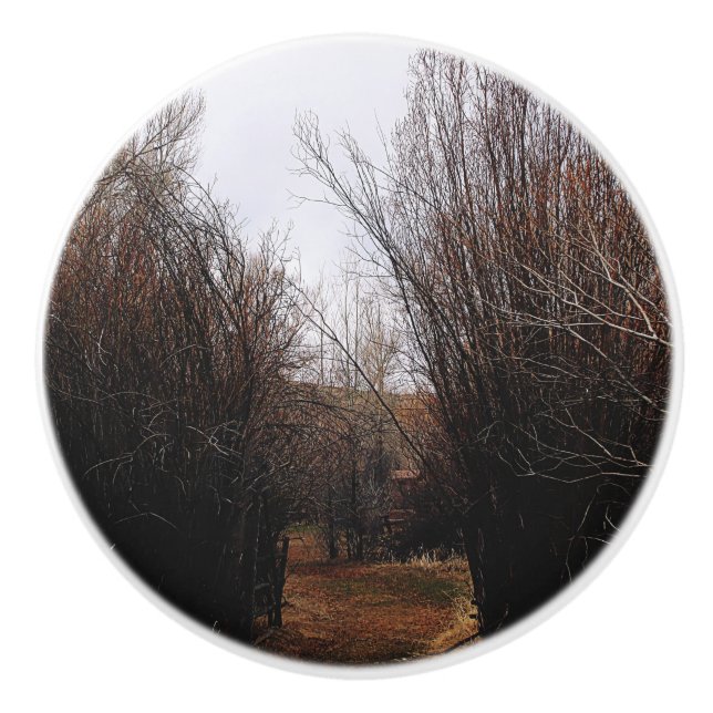Falln Bannack Overgrowth Ceramic Knob (Front)