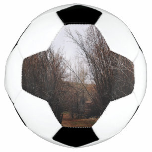 Falln Bannack Overgrowth Football