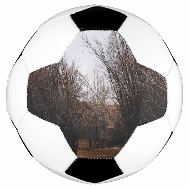 Falln Bannack Overgrowth Football (Front)