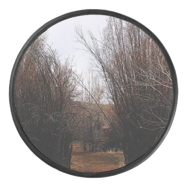 Falln Bannack Overgrowth Hockey Puck (Front)