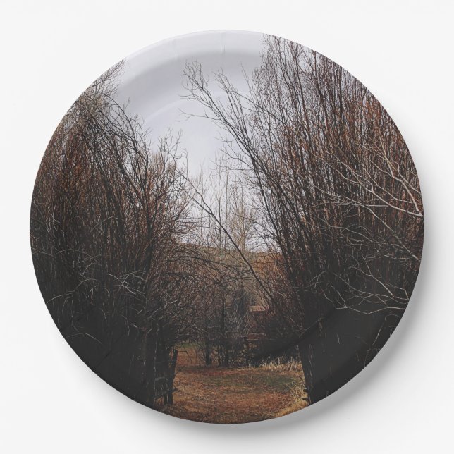 Falln Bannack Overgrowth Paper Plate (Front)