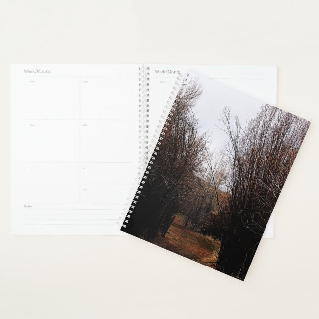 Falln Bannack Overgrowth Planner (Display)