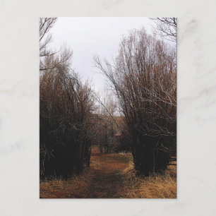 Falln Bannack Overgrowth Postcard