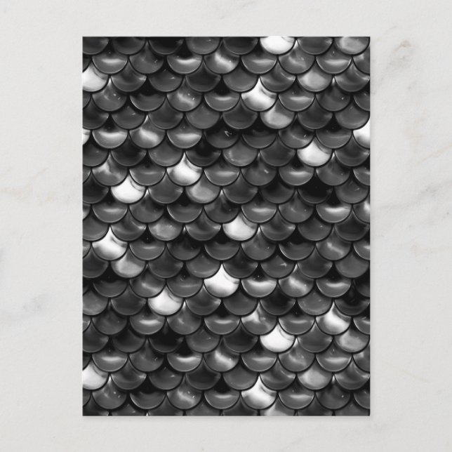 Falln Black and White Scales Postcard (Front)