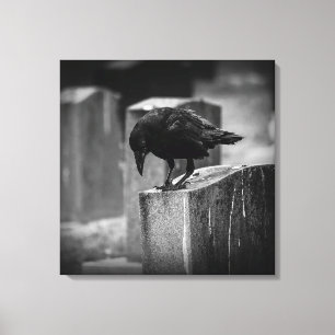Falln Cemetery Crow Canvas Print