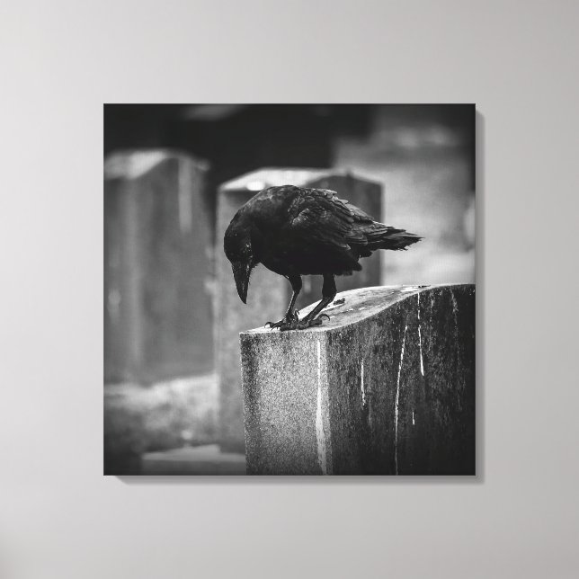 Falln Cemetery Crow Canvas Print (Front)