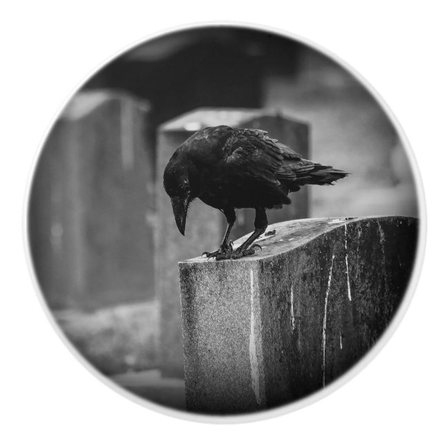 Falln Cemetery Crow Ceramic Knob (Front)