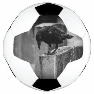 Falln Cemetery Crow Football