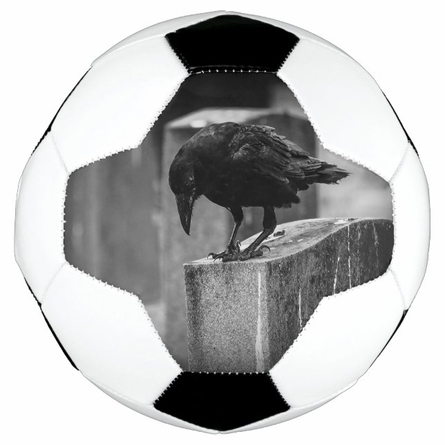 Falln Cemetery Crow Football (Front)
