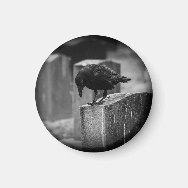 Falln Cemetery Crow Magnet (Front)