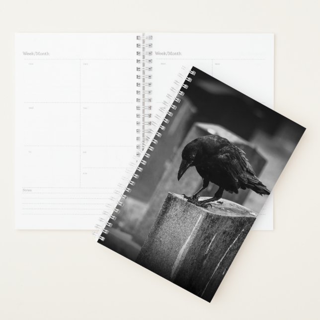 Falln Cemetery Crow Planner (Display)