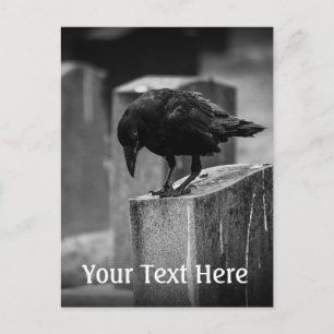 Falln Cemetery Crow Postcard