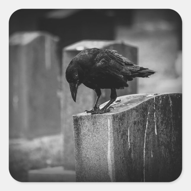 Falln Cemetery Crow Square Sticker (Front)