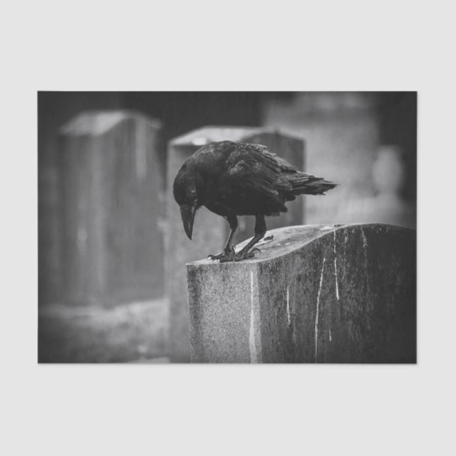 Falln Cemetery Crow Tissue Paper (Front)