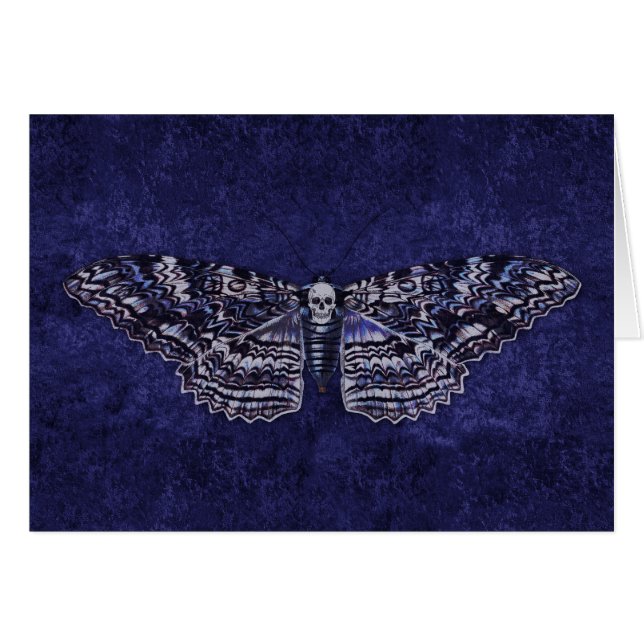 Falln Deathshead Moth (Front Horizontal)