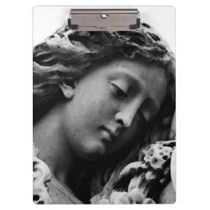 Falln Distant Dreams Clipboard