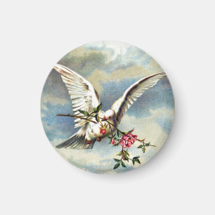 Falln Dove with Roses Magnet