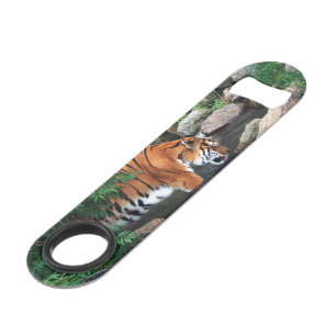 Falln Drinking Tiger