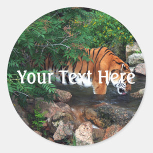 Falln Drinking Tiger Classic Round Sticker