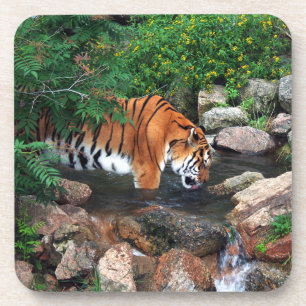 Falln Drinking Tiger Coaster