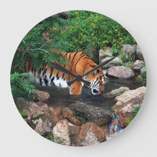 Falln Drinking Tiger Large Clock