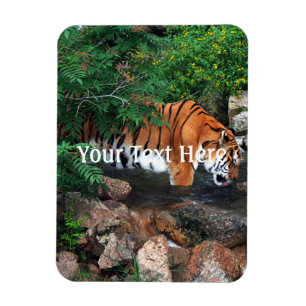Falln Drinking Tiger Magnet